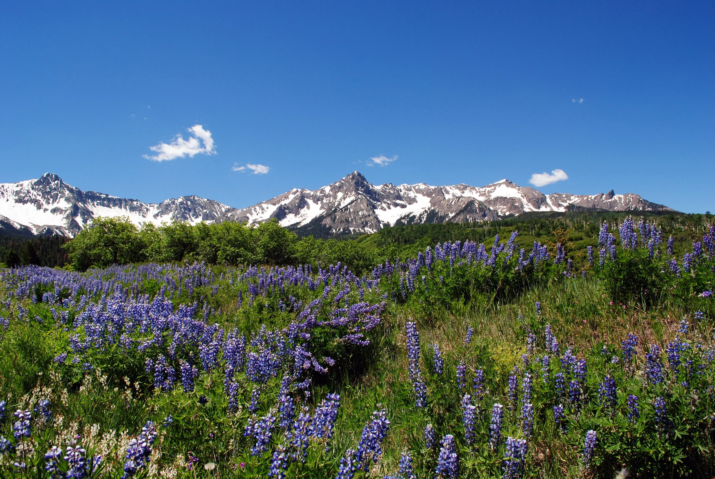 DSC_0843.JPG