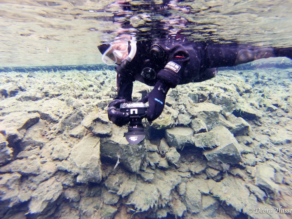 Category 2_v2-20(1).jpg