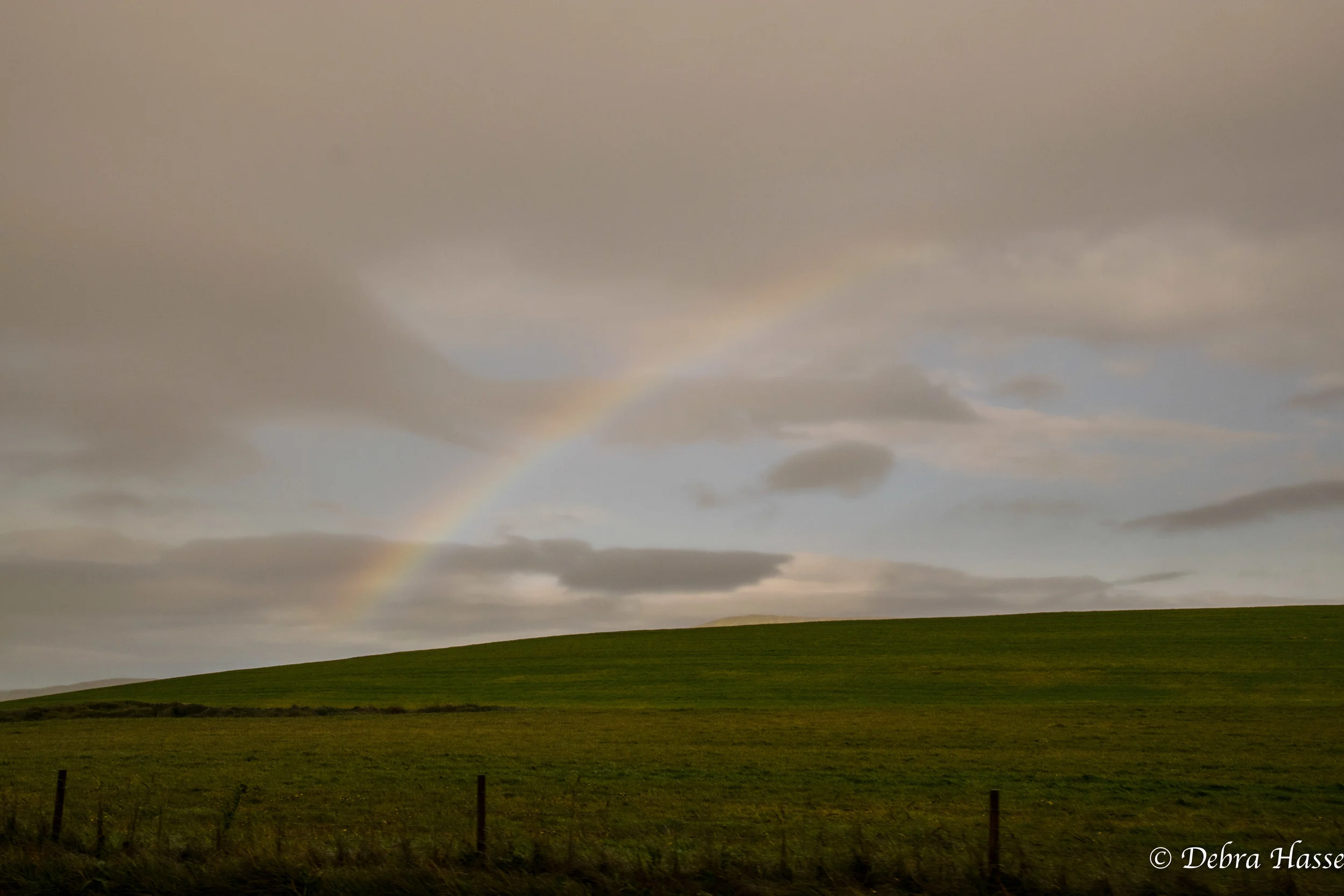 Rainbow!