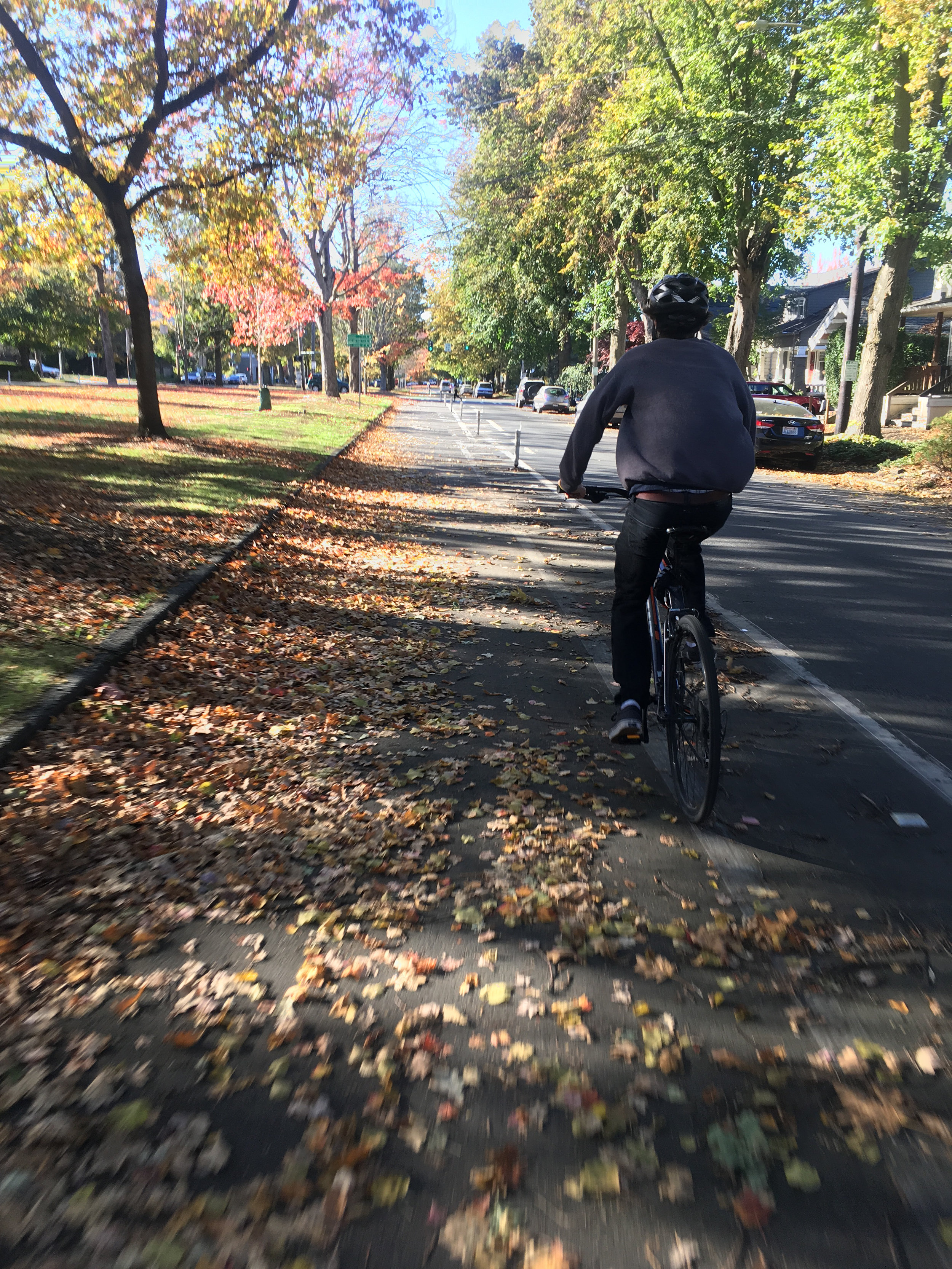 Bike Friendly Area