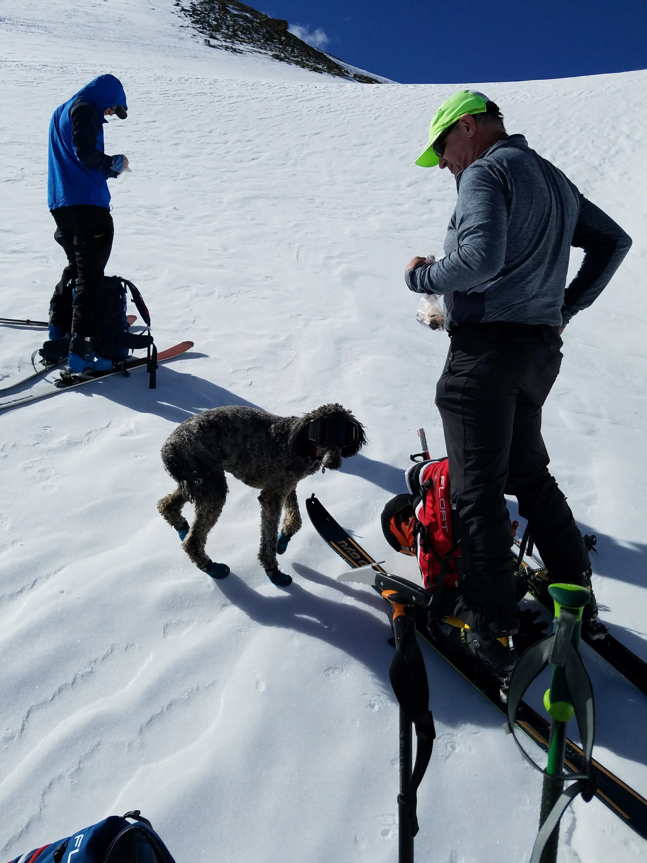 20180429_092334.jpg
