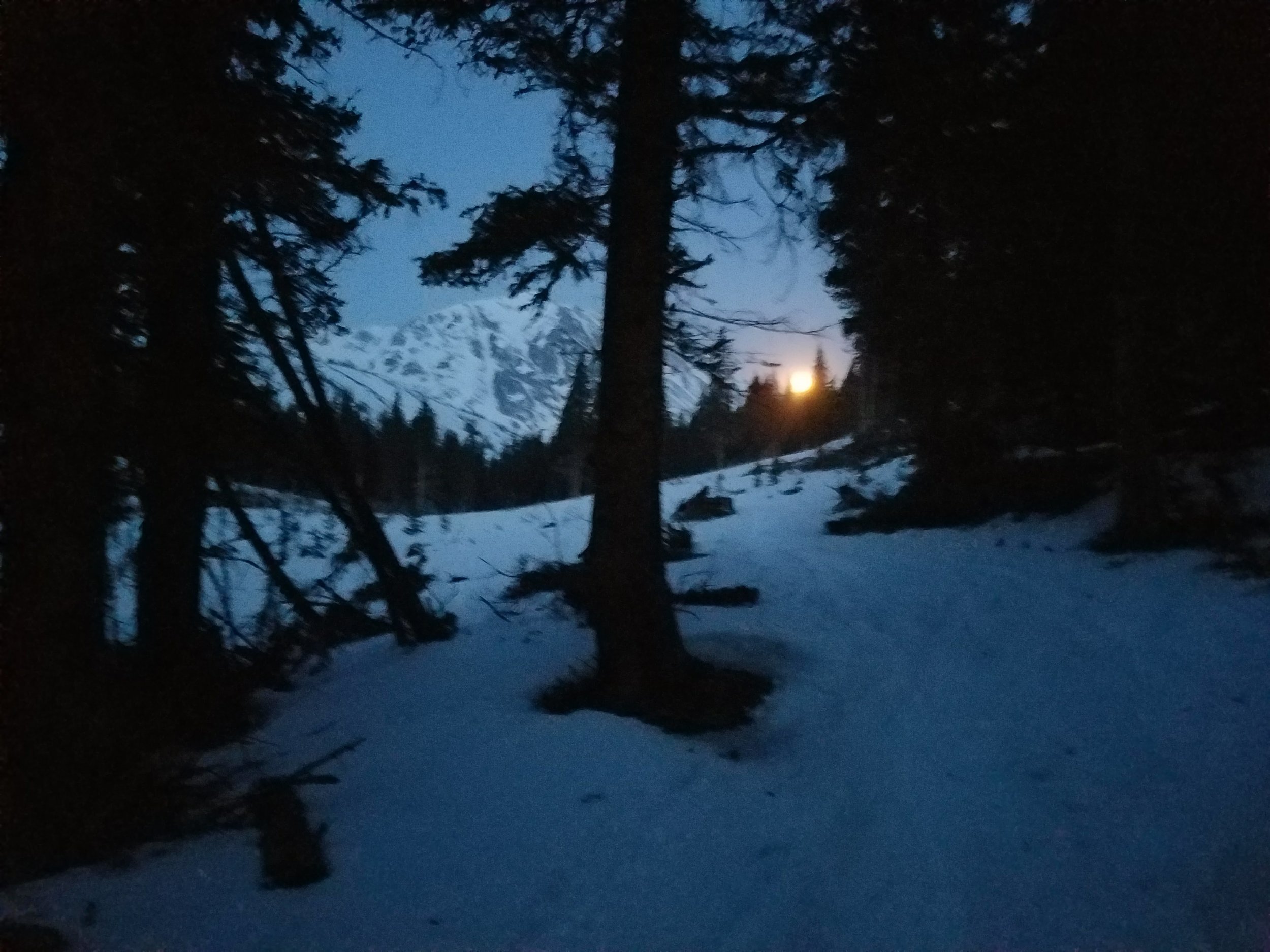 20180430_053138.jpg