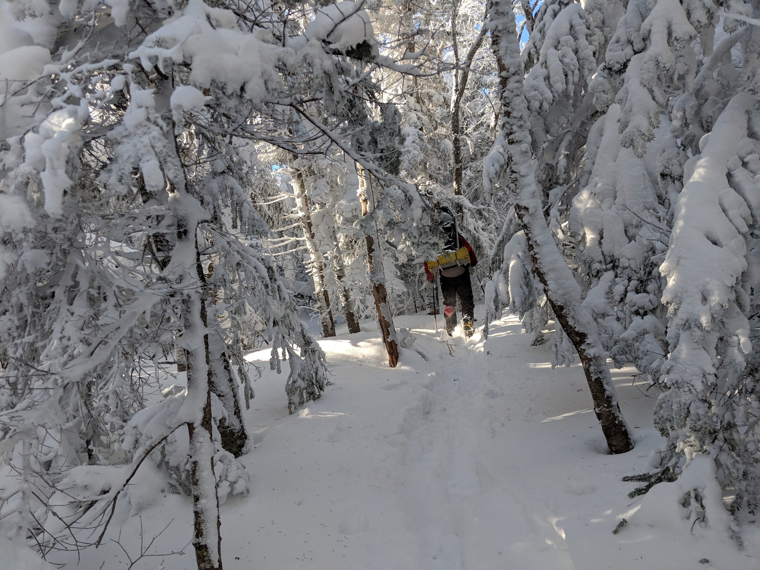 Traversing the false summit.