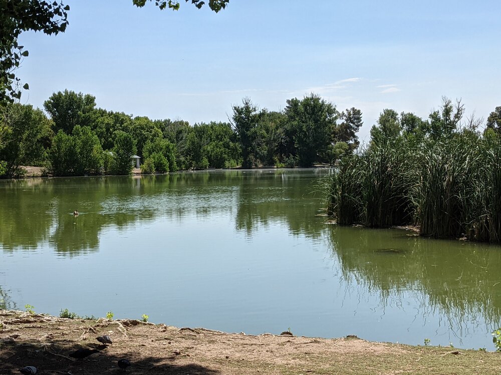 Tule Springs Lake at Floyd Lamb Park