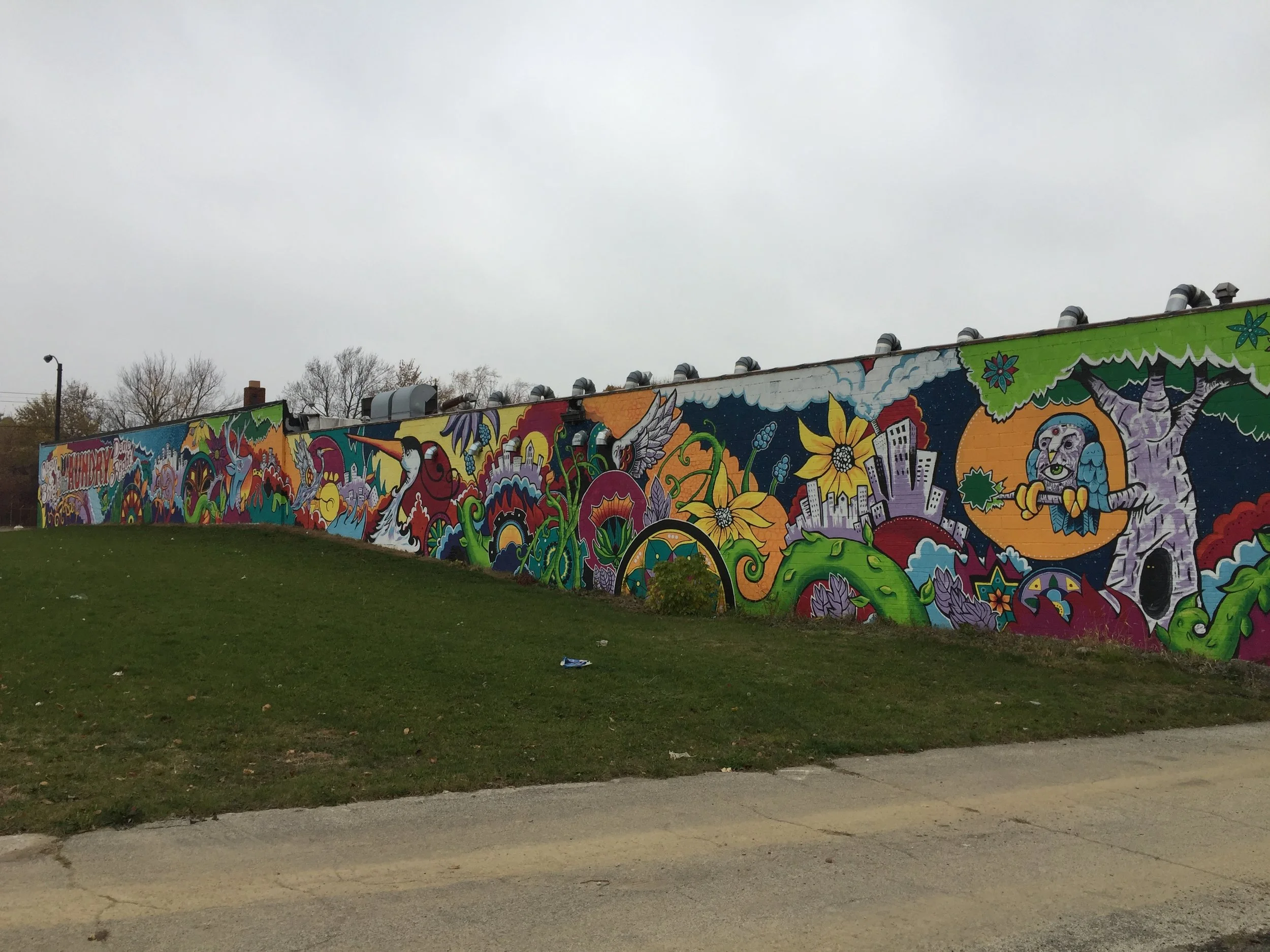 Laundromat Mural- Clean & Bright- Angle Shot.JPG