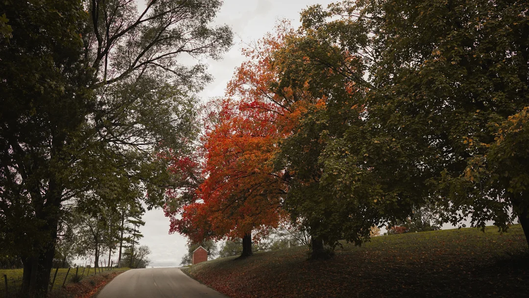 Villa Ridge, MO