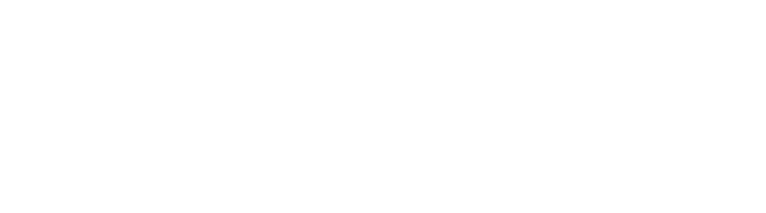 Brooklyn Bike Tours | Brooklyn Giro Bike Tours Official Site