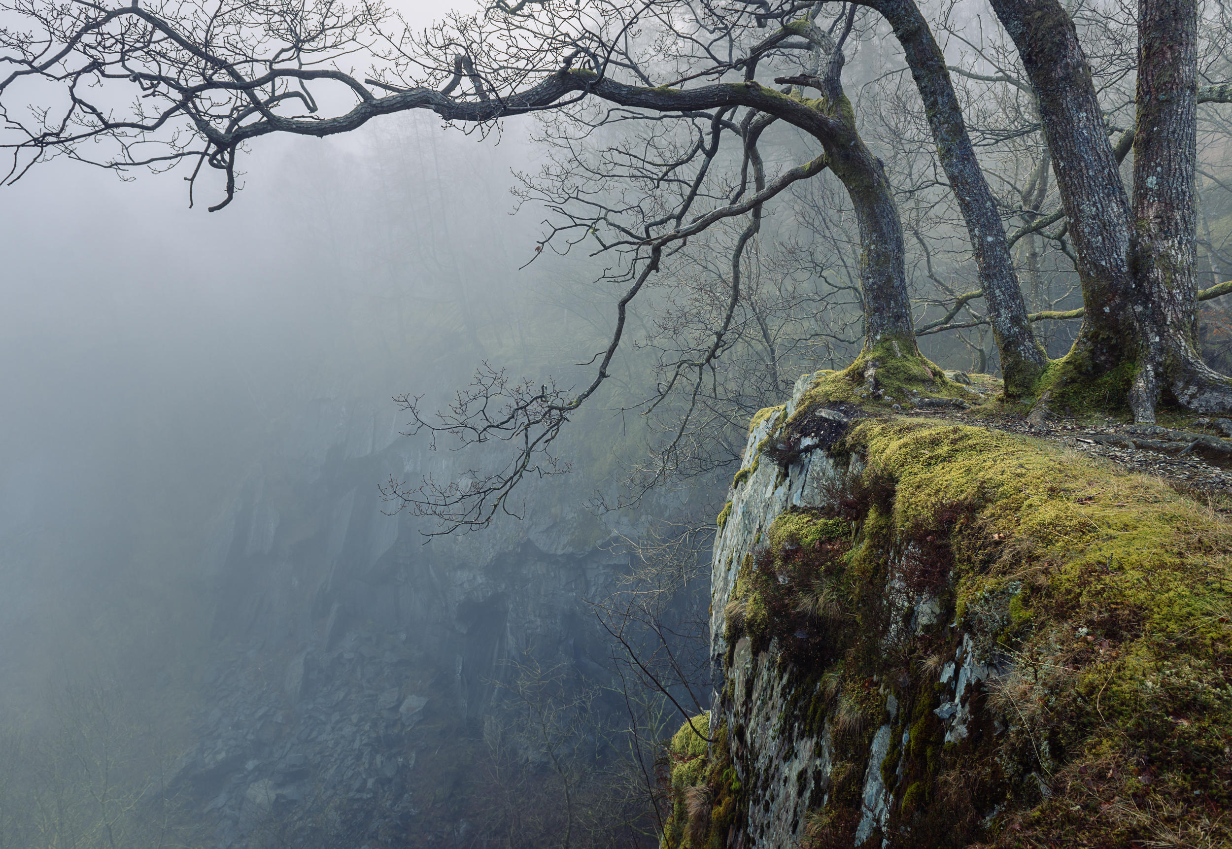 Peering - Hodge Close