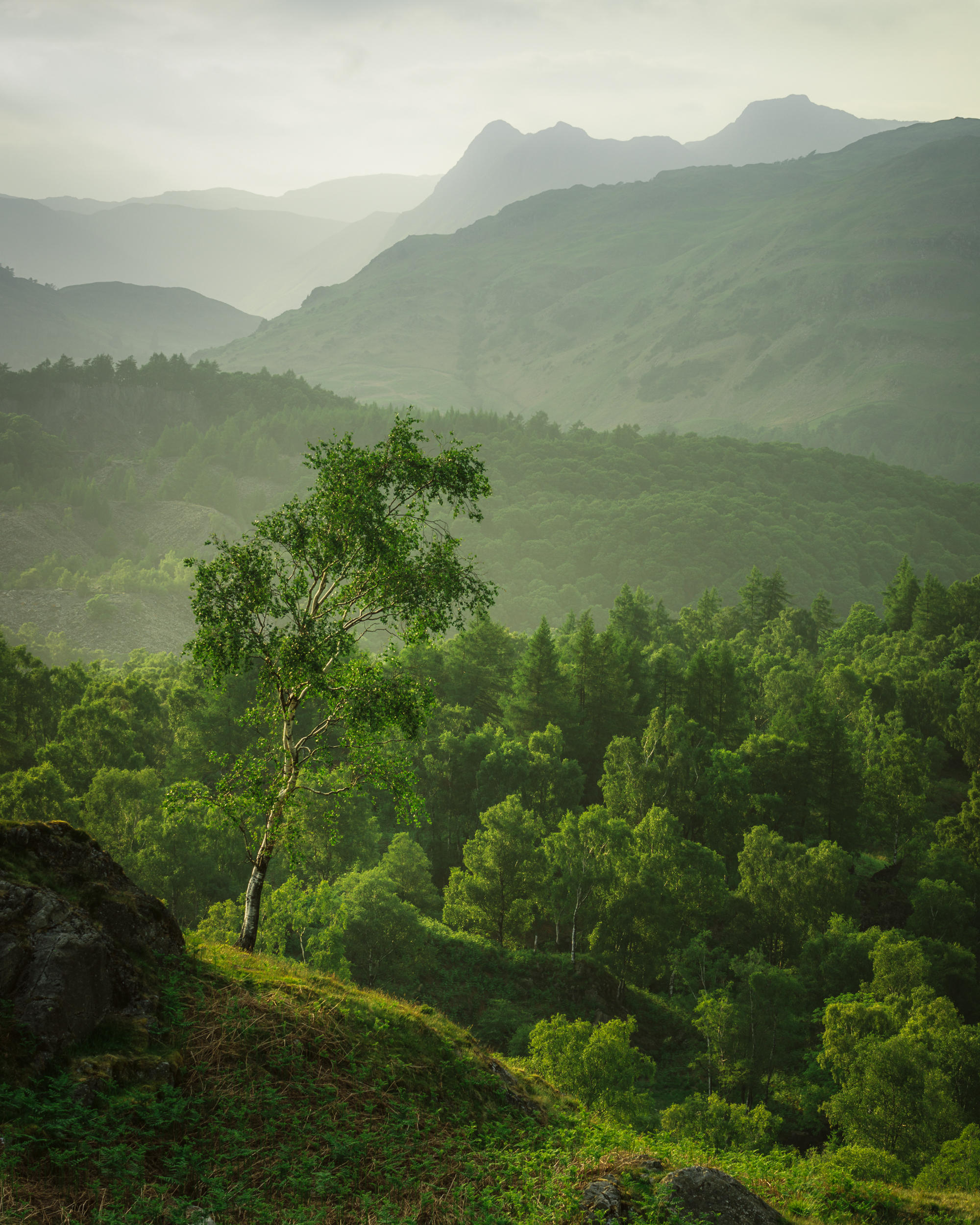 Green Gown of Summer - Holme Fell