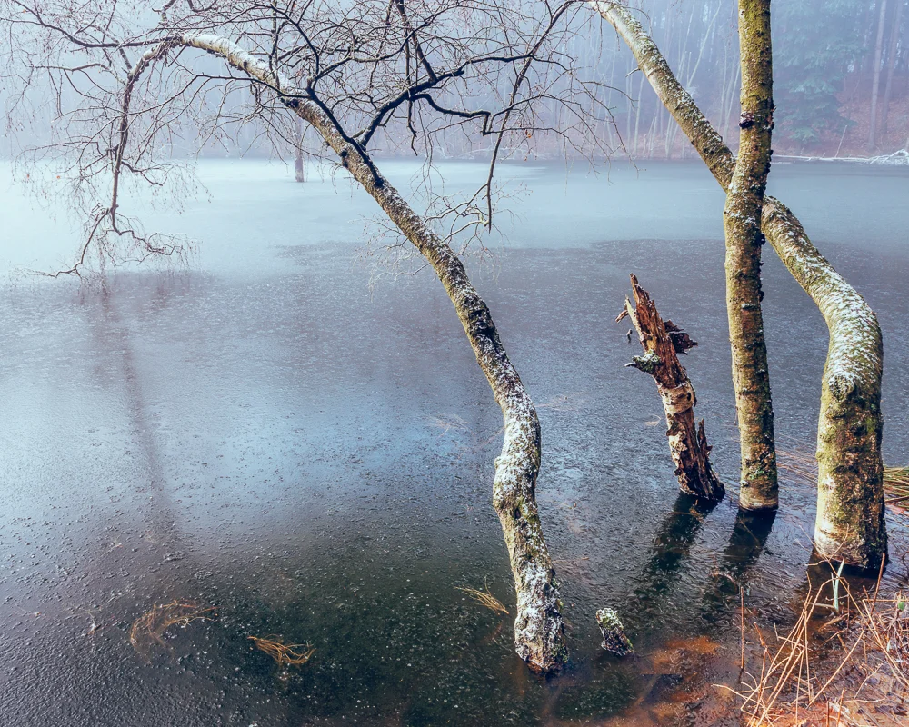 Dead Lake, Delamere