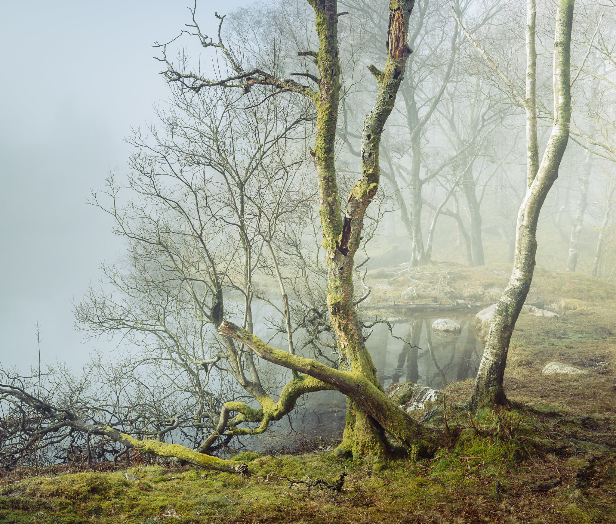 Tarn Tales - Holme Fell