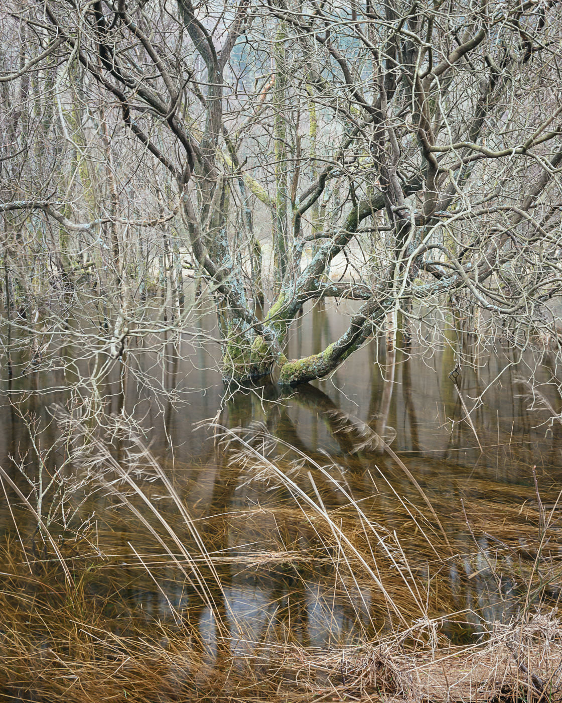 Overflow - Thirlmere