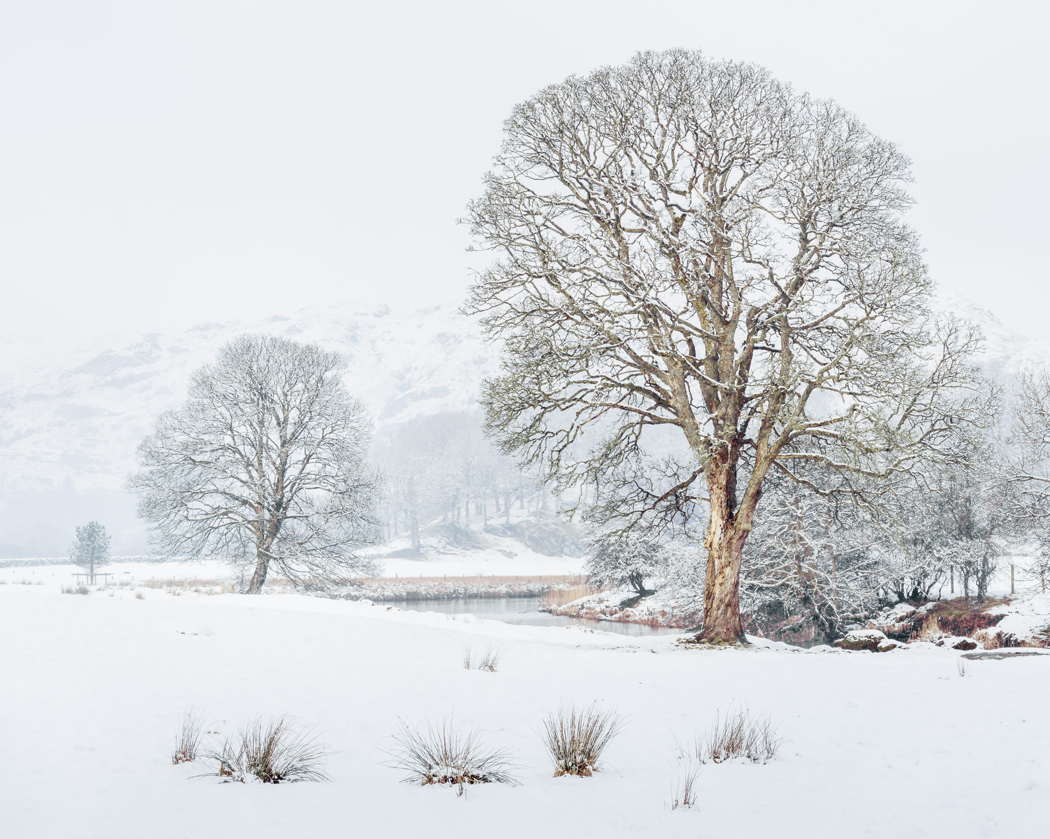 River Brathay - 6th Feb 18