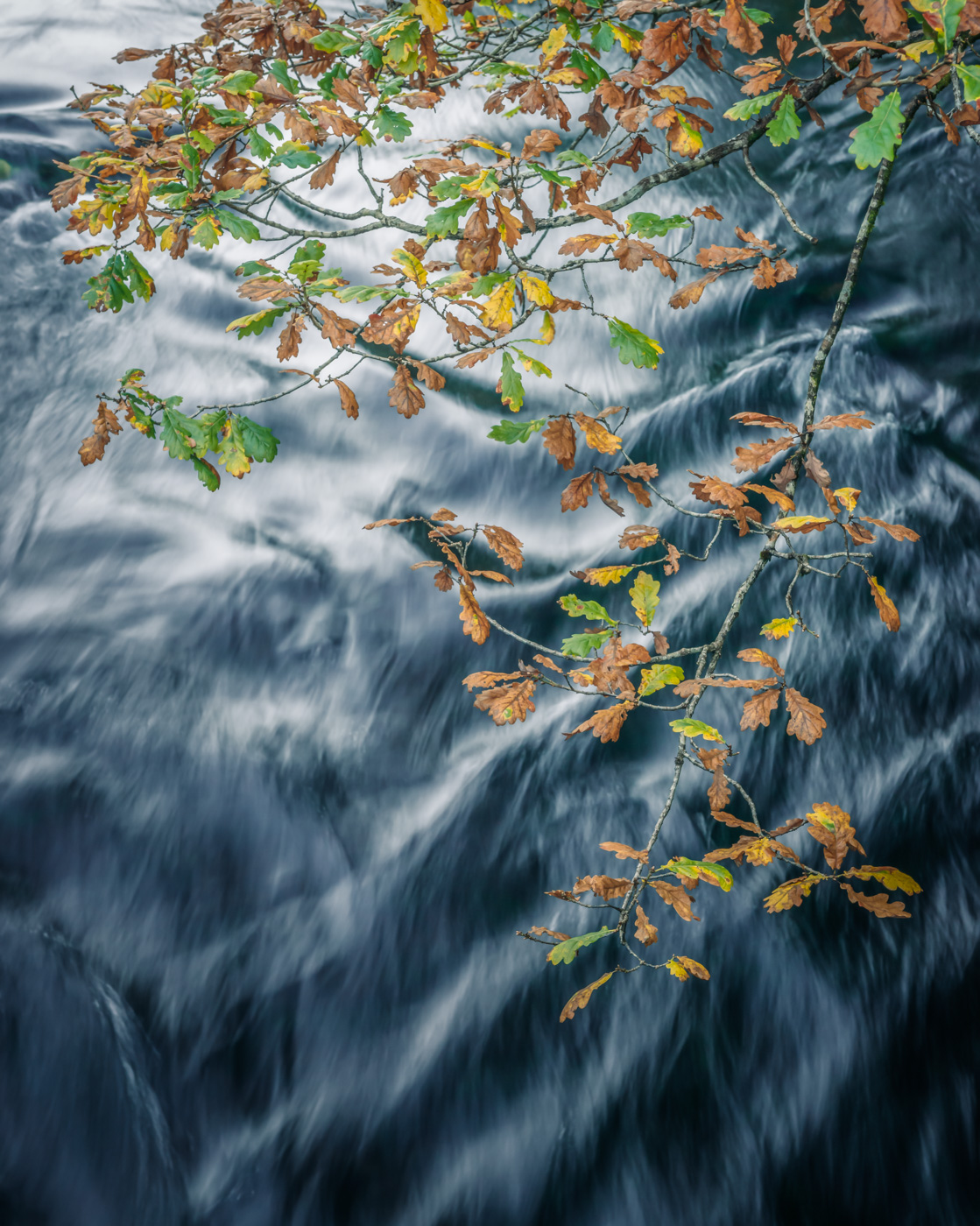 Brathay Autumn II