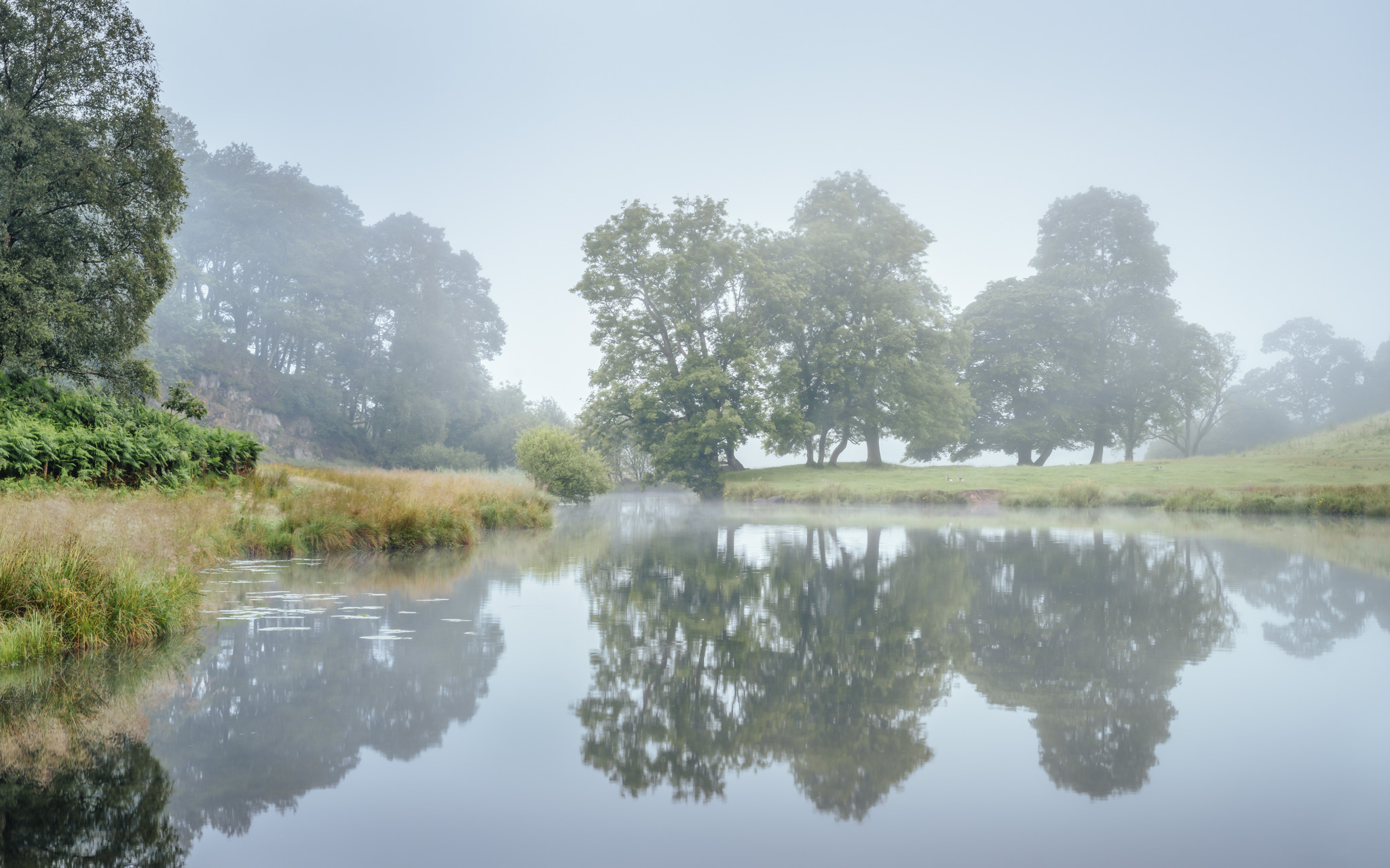 Brathay Stillness