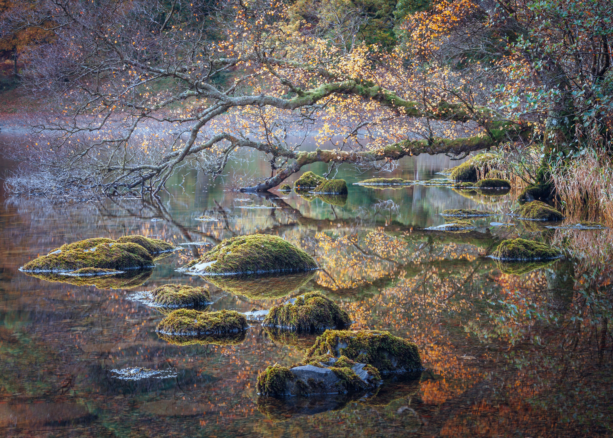 an-oaisis-of-autumn-ullswater-LE2048.jpg