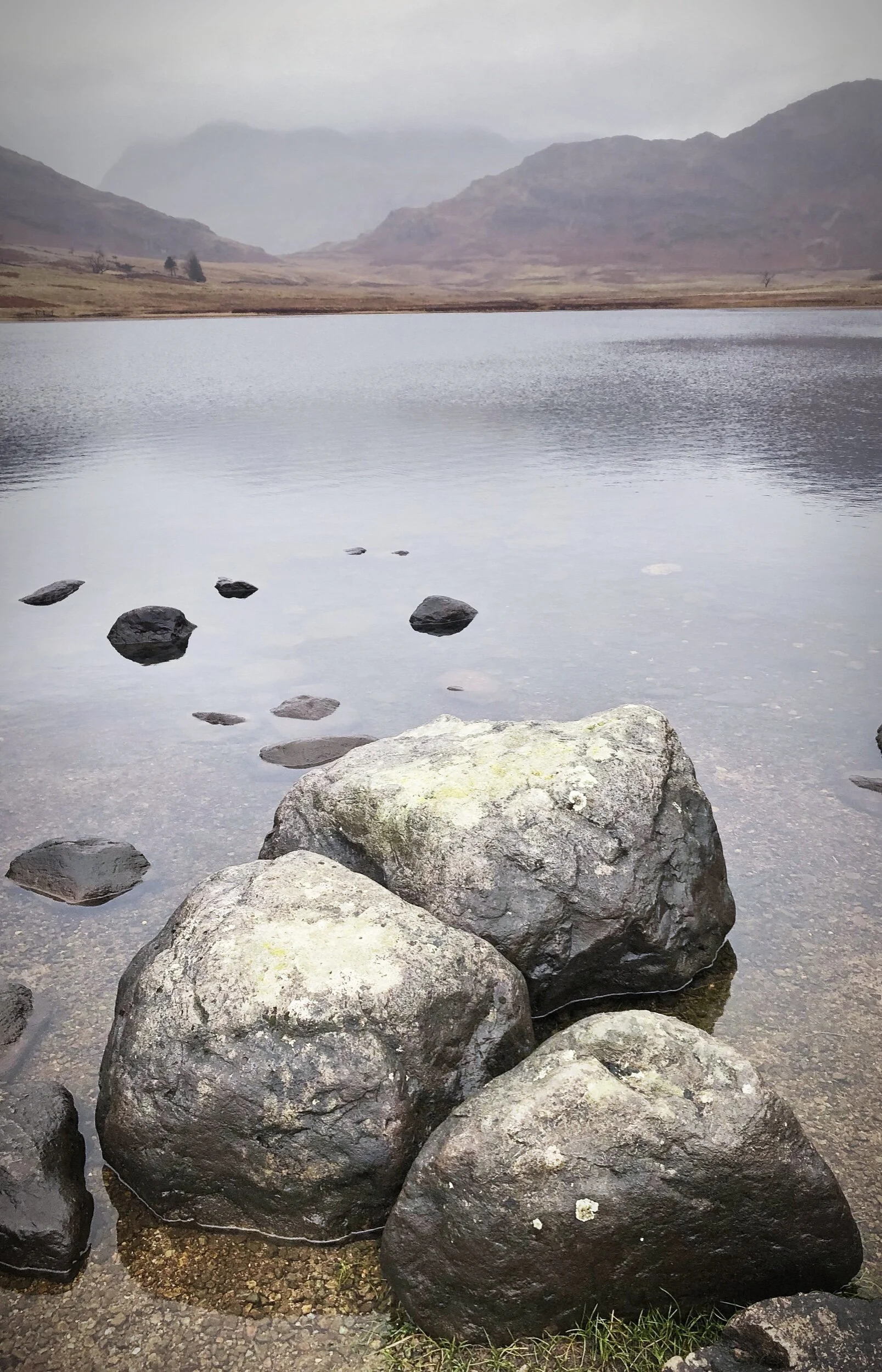 IMG_1929_polarr.jpeg