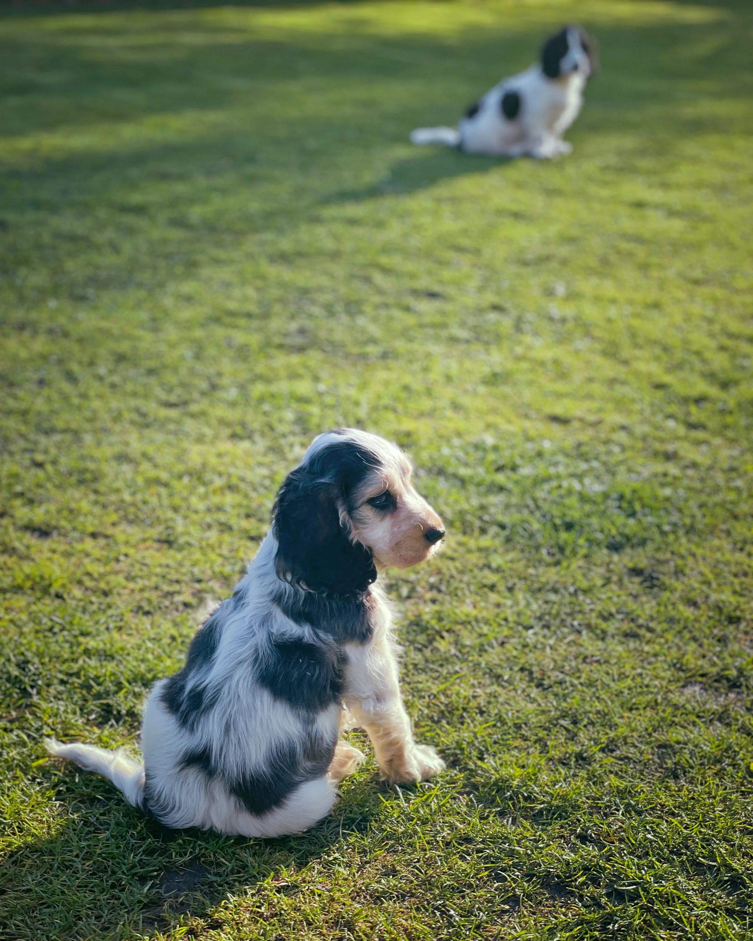 IMG_8167_polarr.JPEG