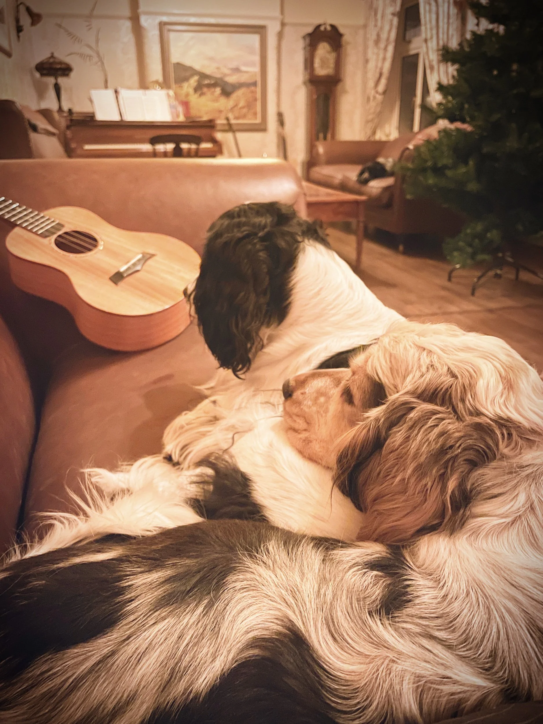IMG_1601.jpeg