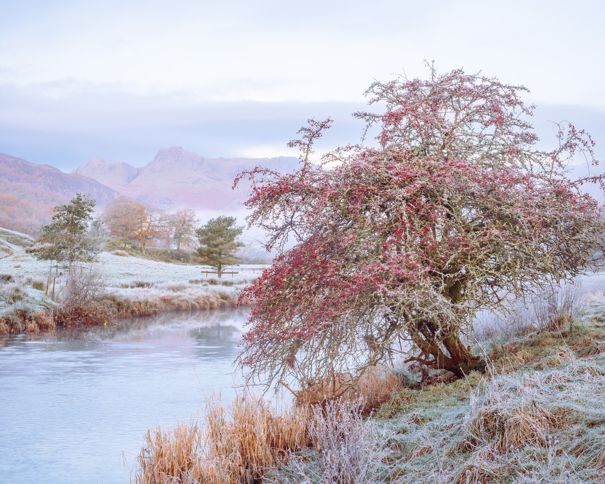 Grasmere Penny Rock-LE2048-3.jpg