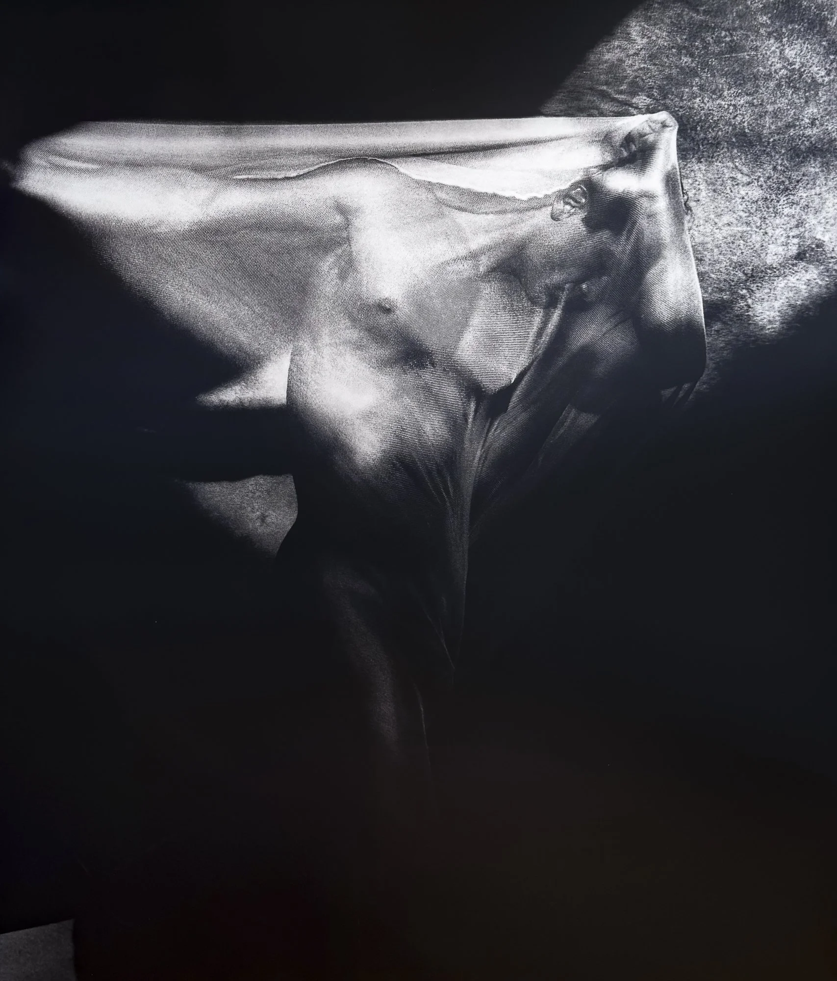 Nude II - Original Print 16" x 20" - Limited Edition of 5