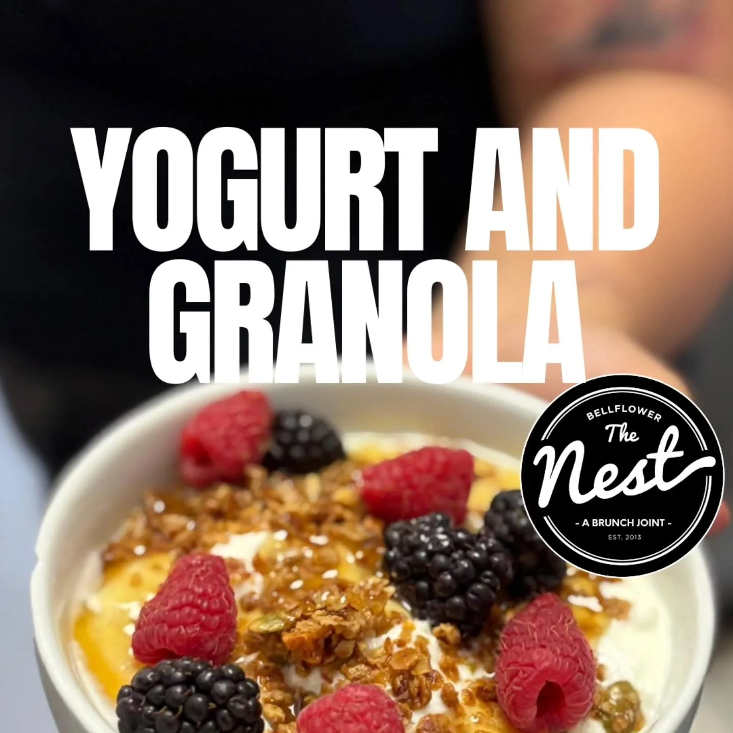 : : | yogurt and granola | : :