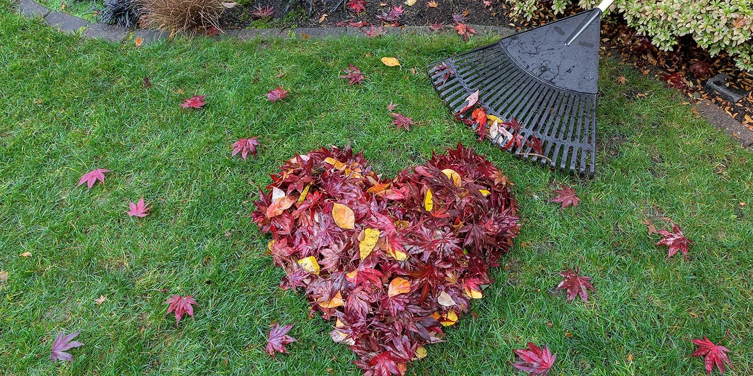 Start getting ready for winter by raking leaves and showing your home some love!