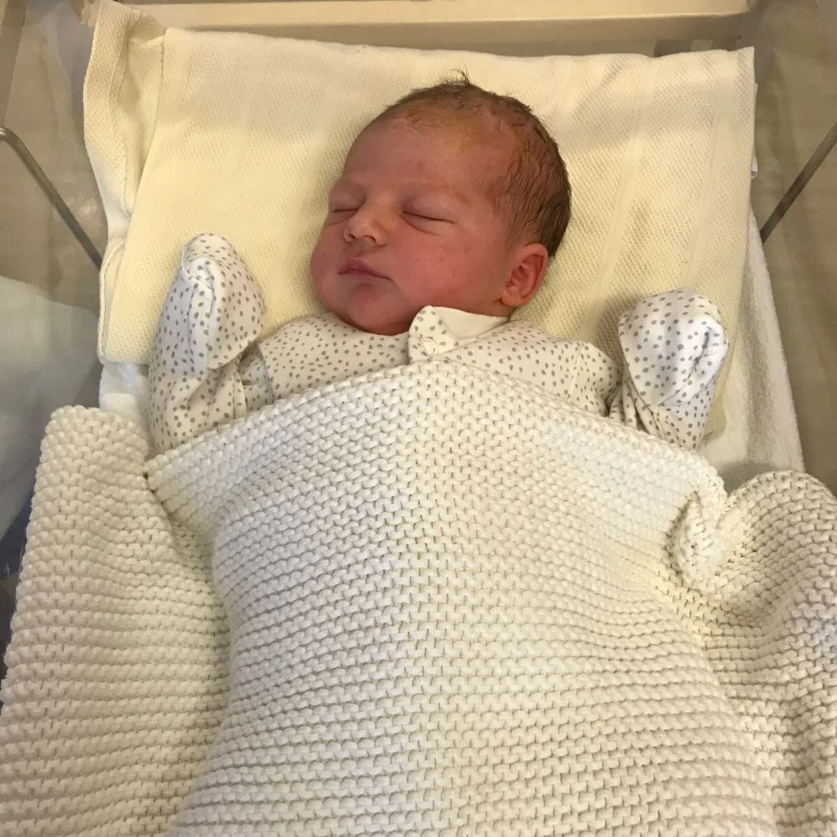 Lila - 8lbs 5oz