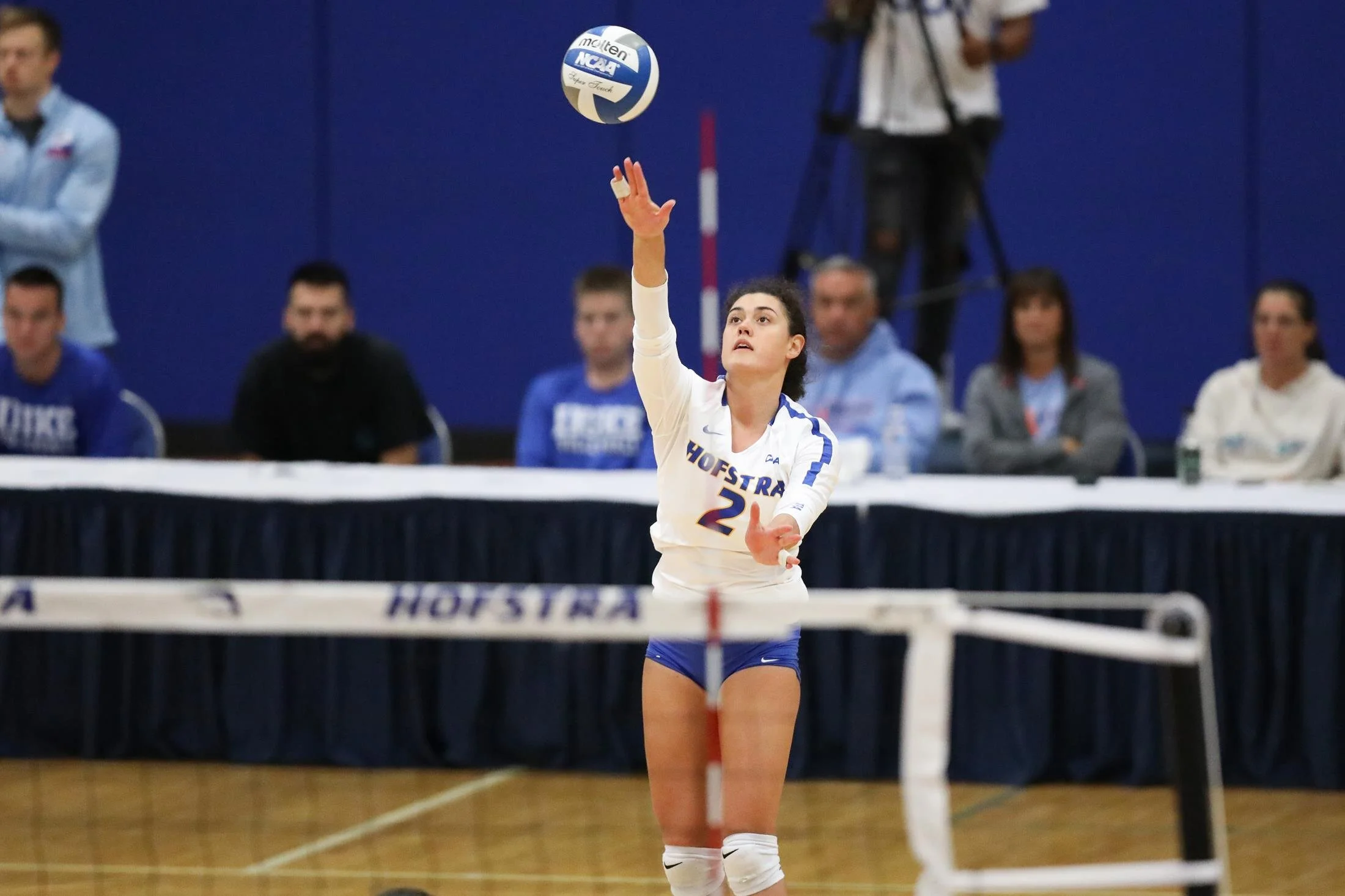 Martinovic and Pride eager for Hofstra volleyball's return — The