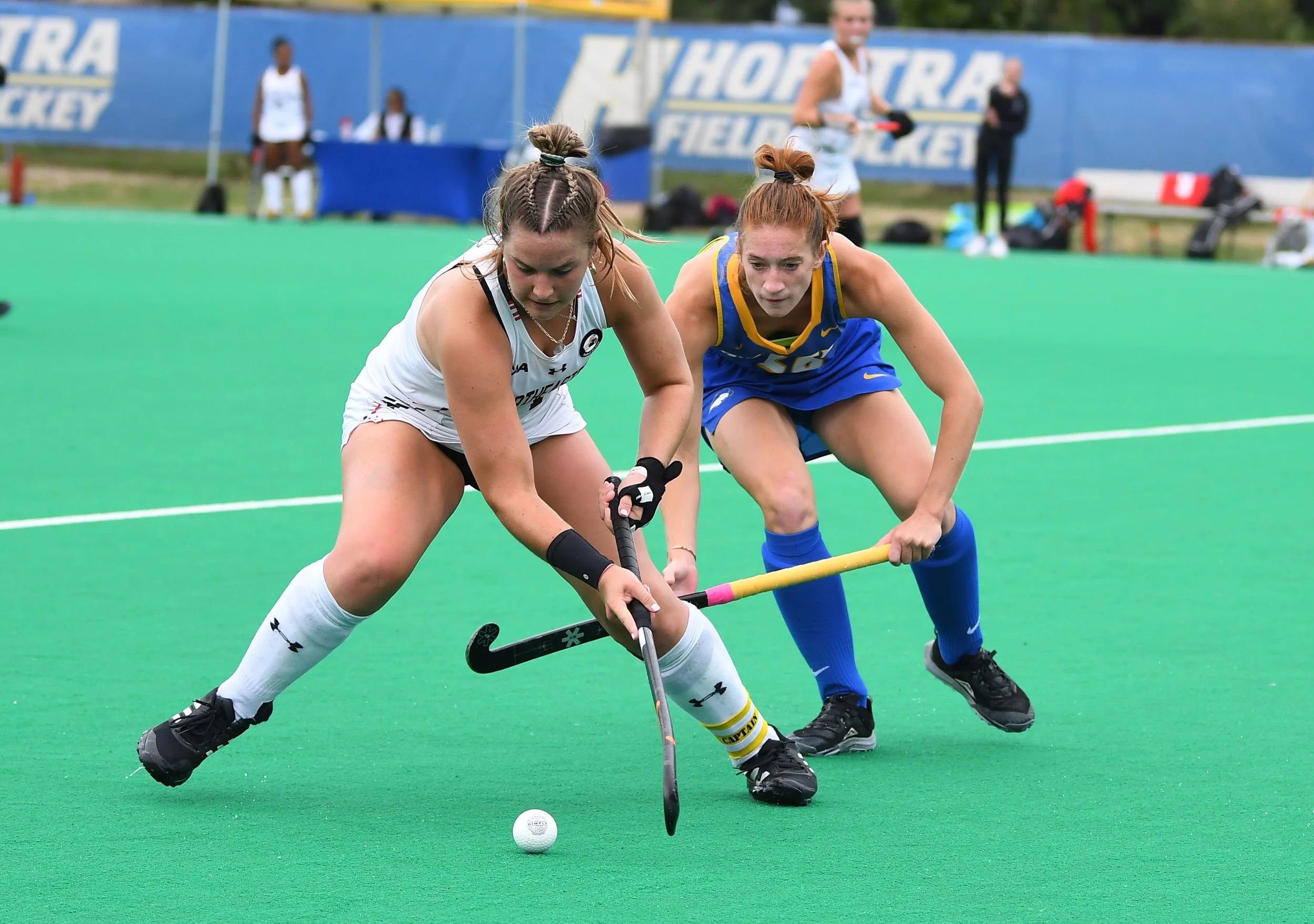 Hofstra suffers doubleOT defeat to Northeastern in CAA opener — The