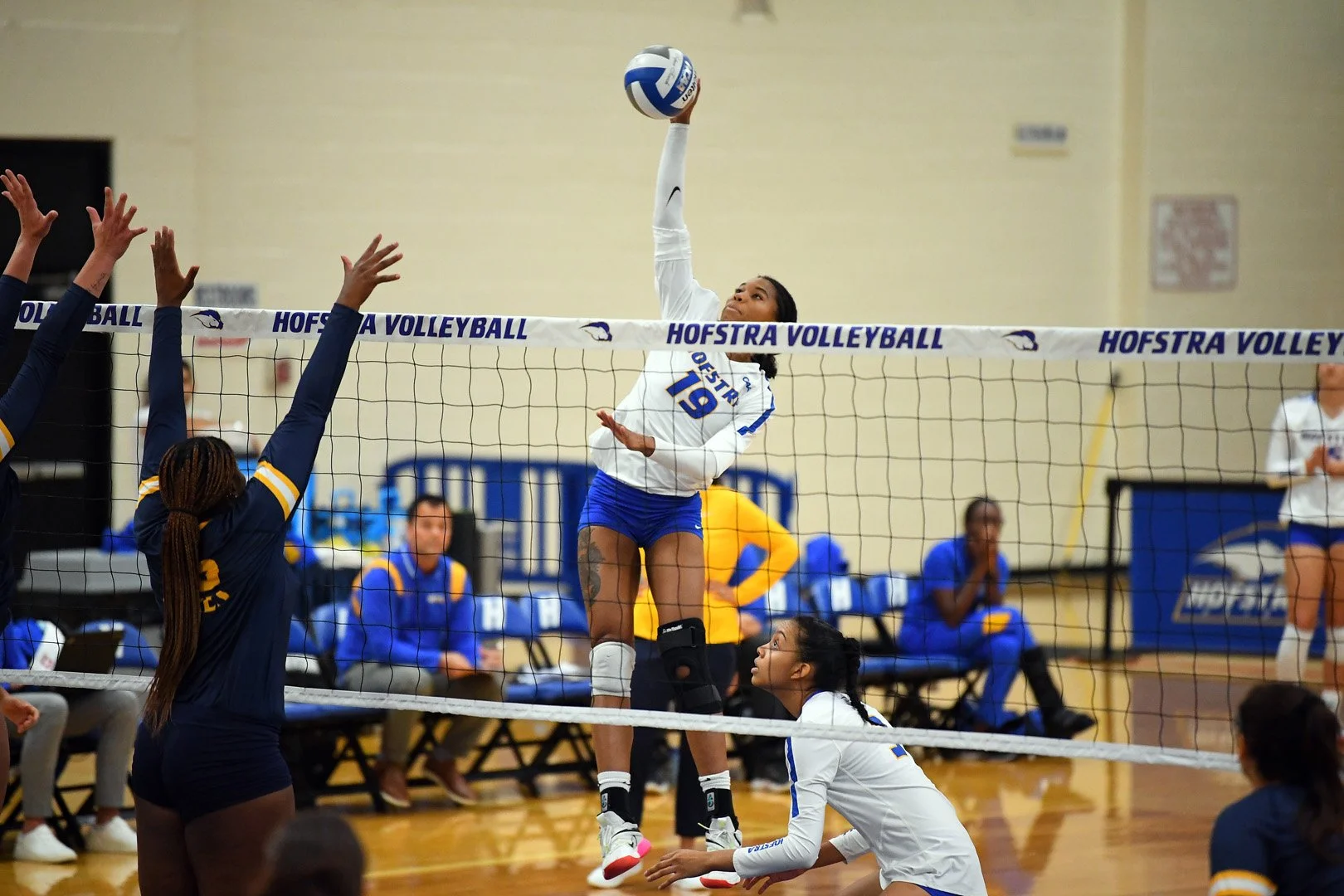 Volleyball completes series win in four sets over Hampton — The Hofstra
