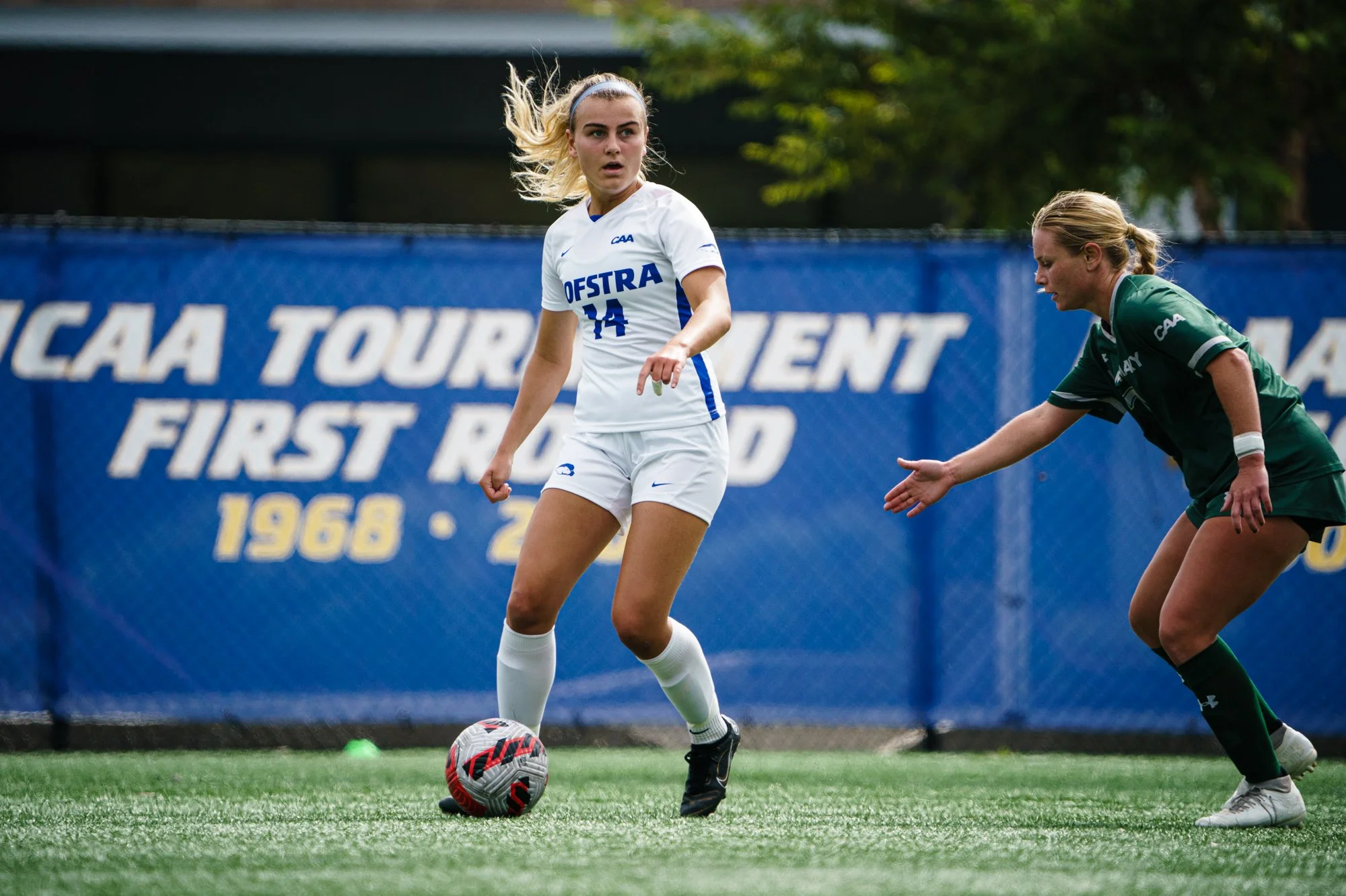 Sports The Hofstra Chronicle sports-the-hofstra-chronicle