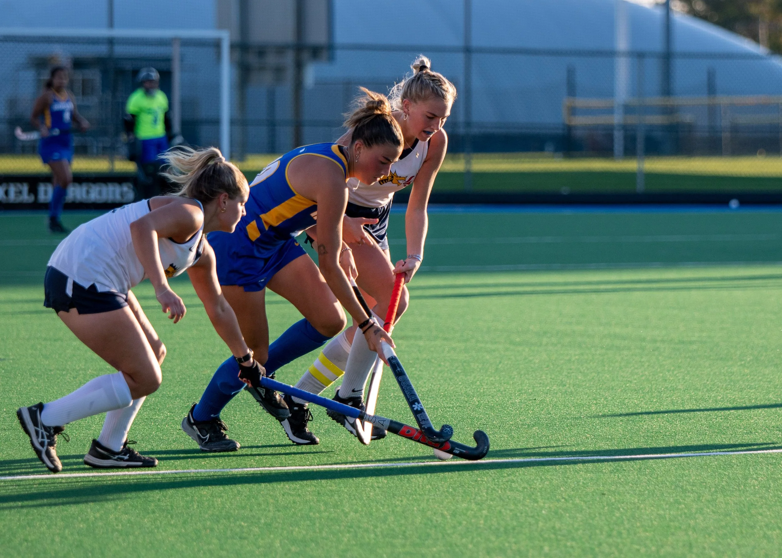 dragons-shut-out-the-pride-the-hofstra-chronicle