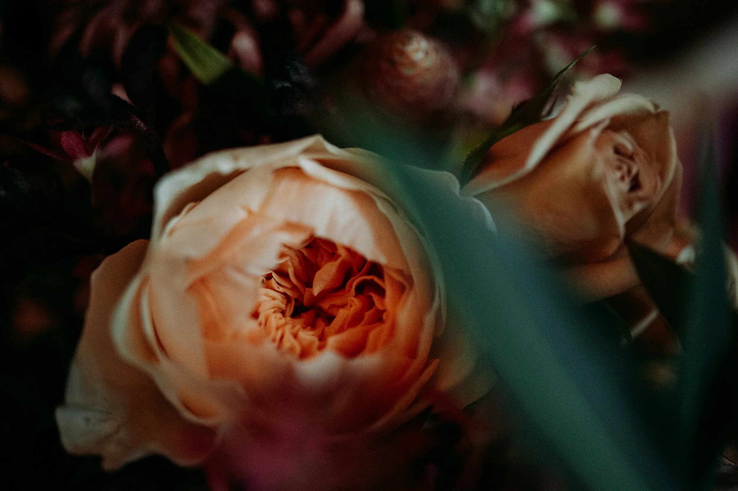 PhoenixRose edits-3820.jpg
