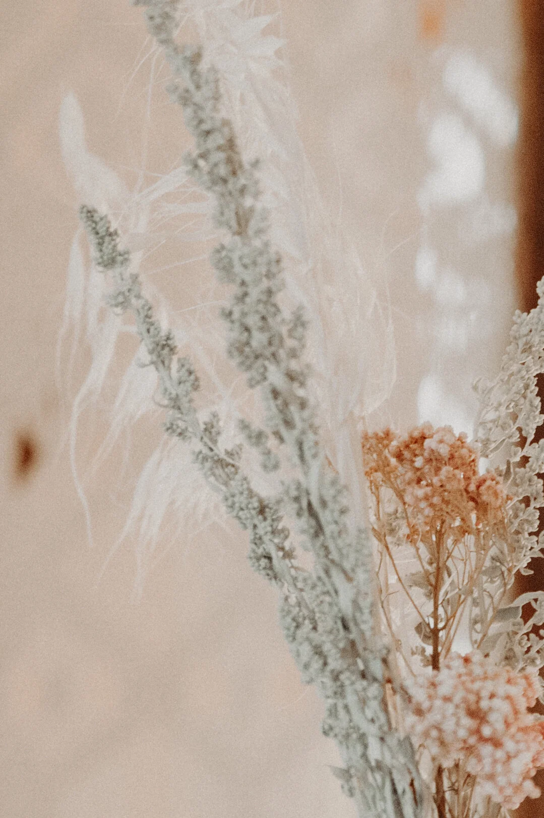 PhoenixRoseDesigns -3700.jpg
