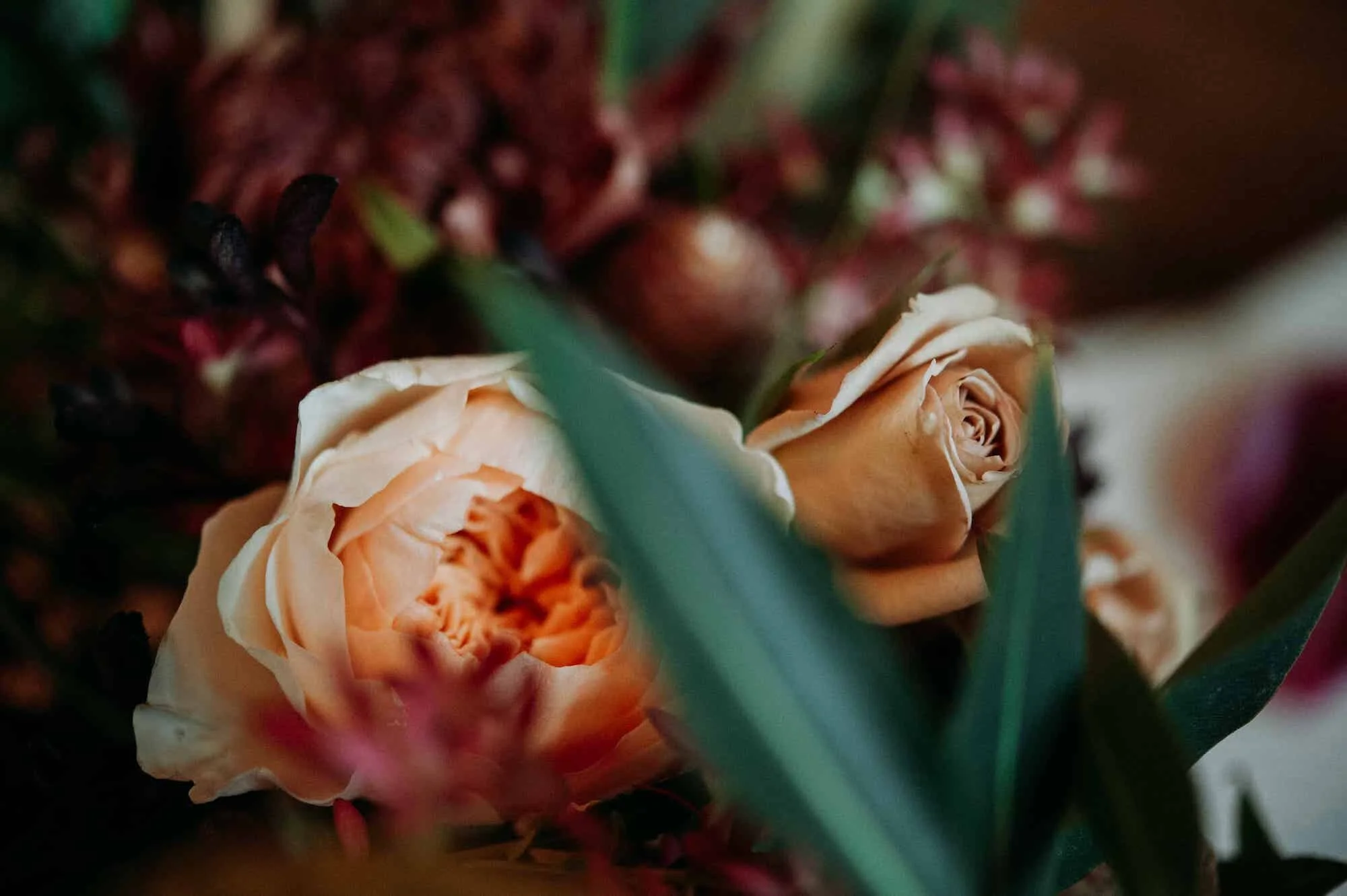 PhoenixRoseDesigns -3821.jpg