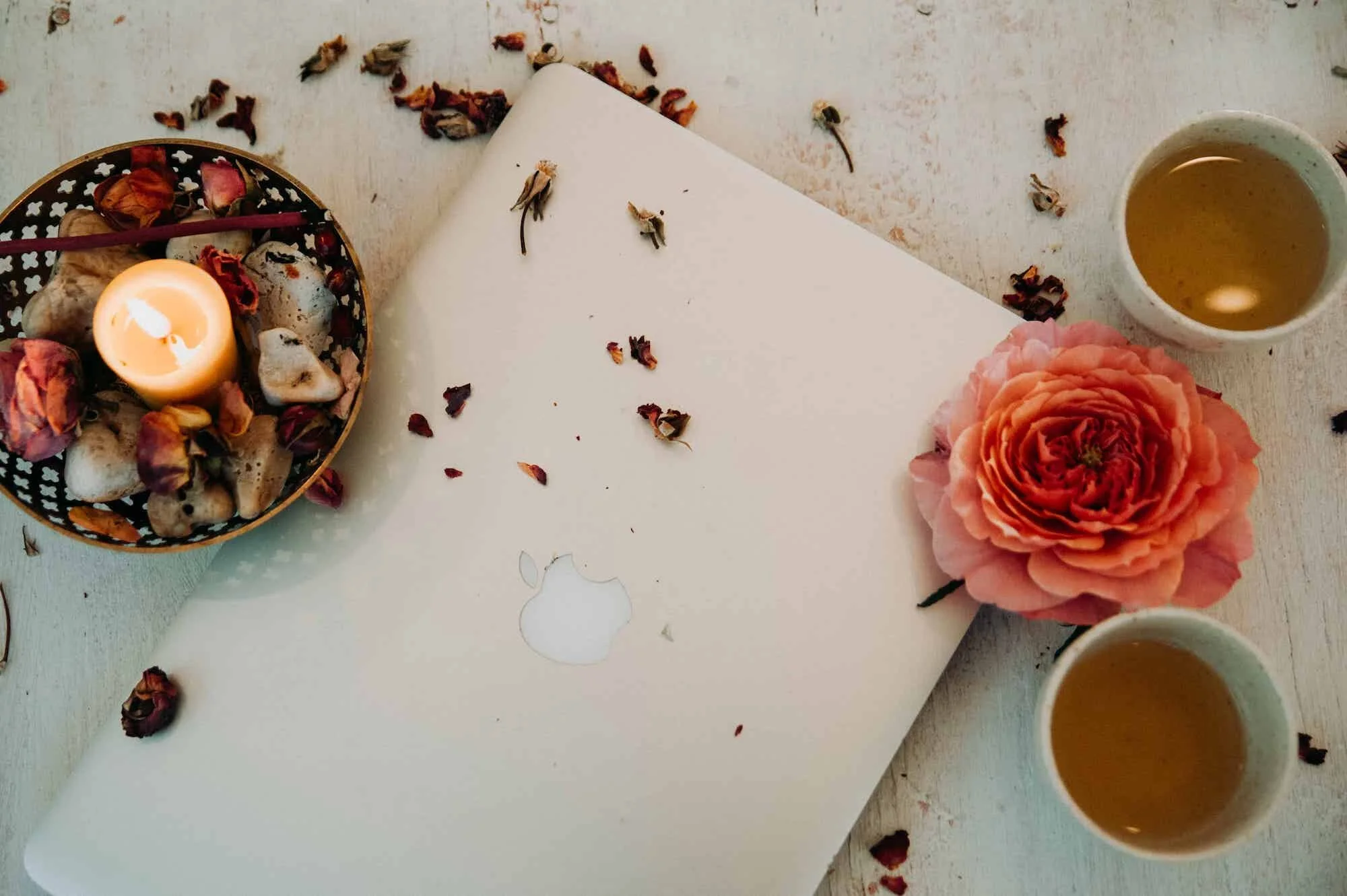 Online Courses