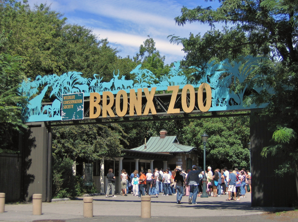 New Animal Planet Series Explores the Bronx Zoo's Inner Workings — The  Meridian