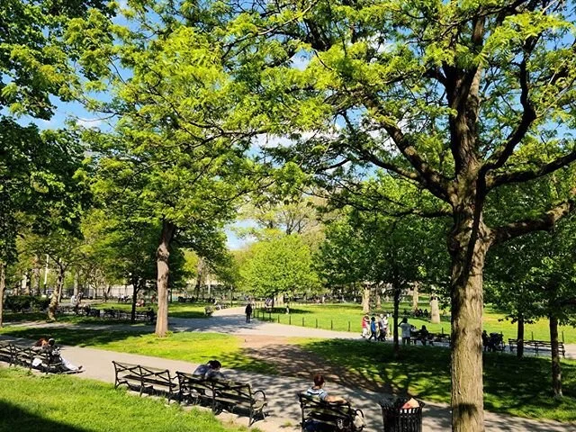 Nature is also an essential worker. If you are going out keep your distance pleaseee 🌞⛅️ Photo credit: @pearlmade #keepyourdistance #beautifulday #socialdistancing2020 #spring #allisgreen #washyourhands #summeriscoming