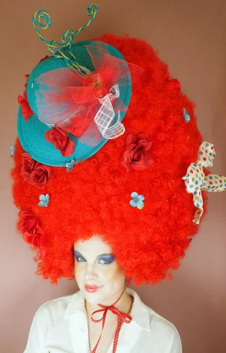 Clown de Rodeo Art Wig