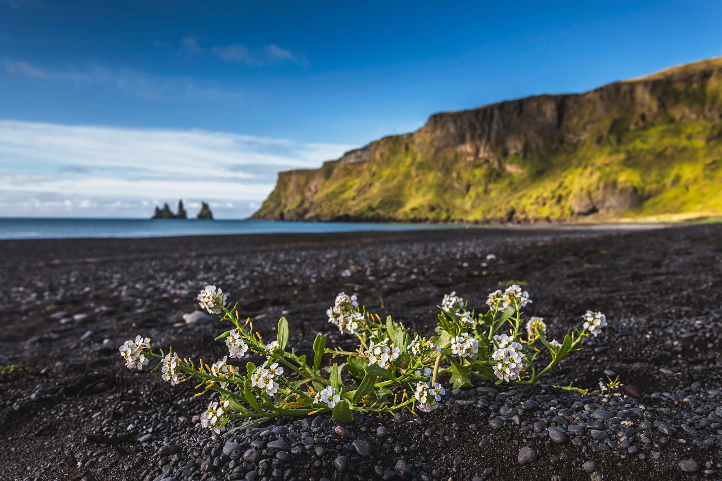 vik - iceland