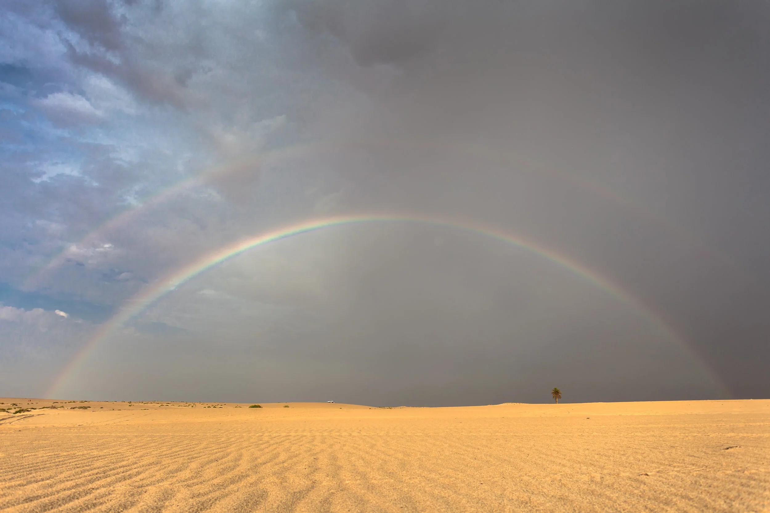 RainbowSaudi-2.jpg