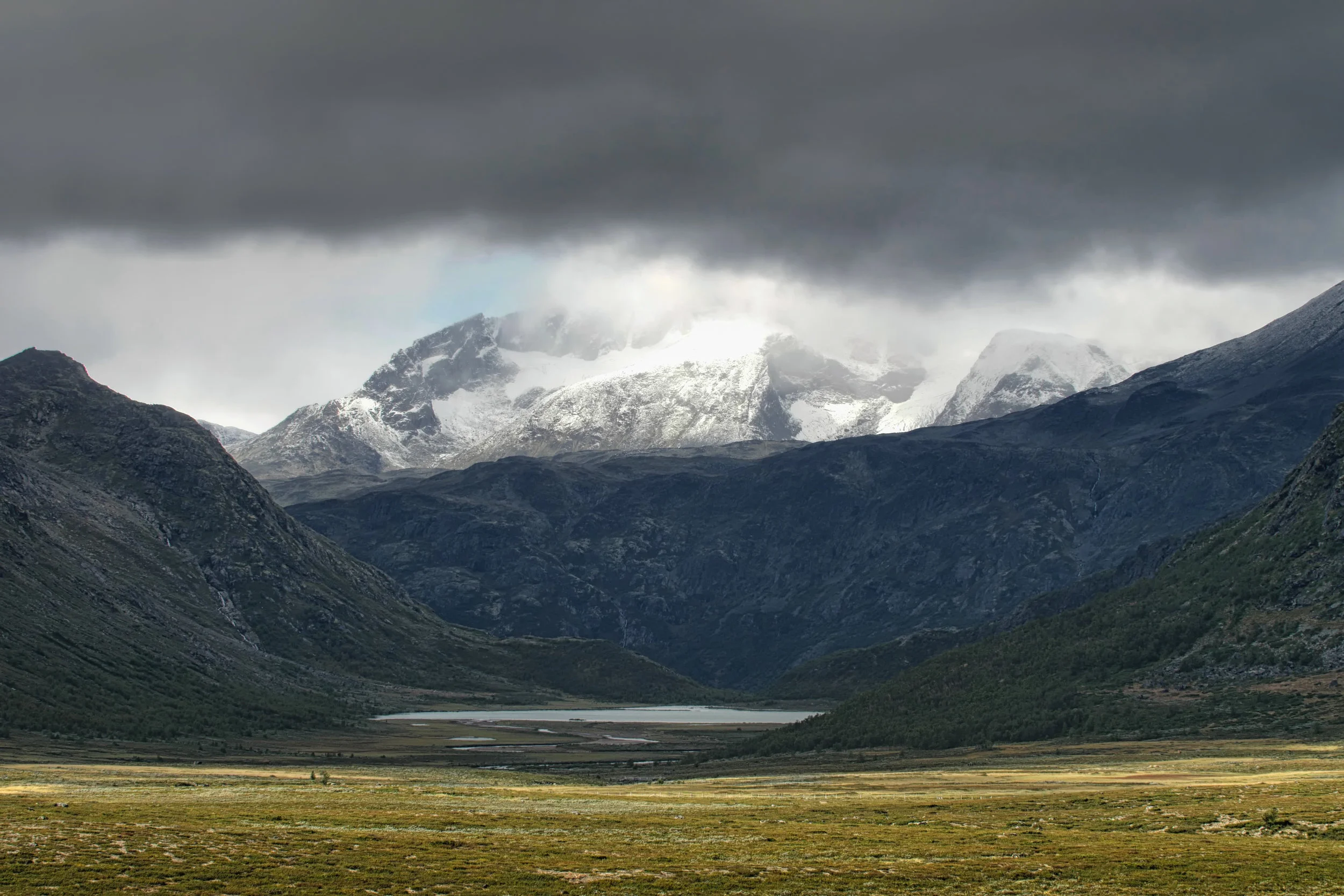 P1099038-Edit-Edit-Edit.jpg