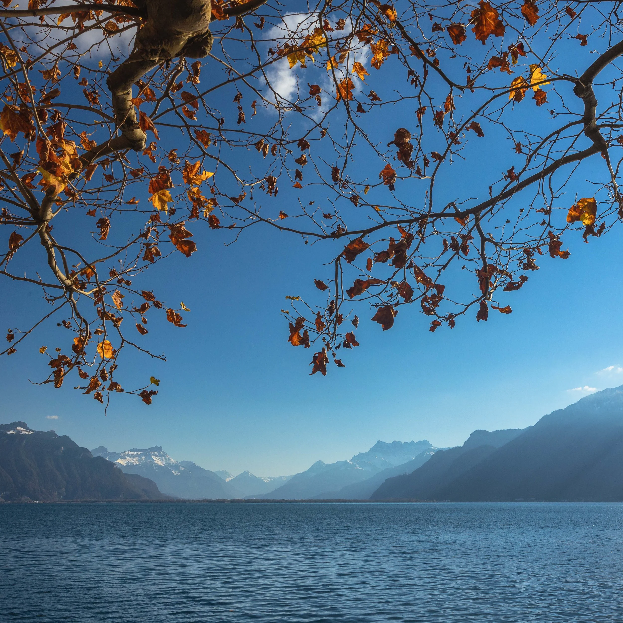 Autumn - VEVEY