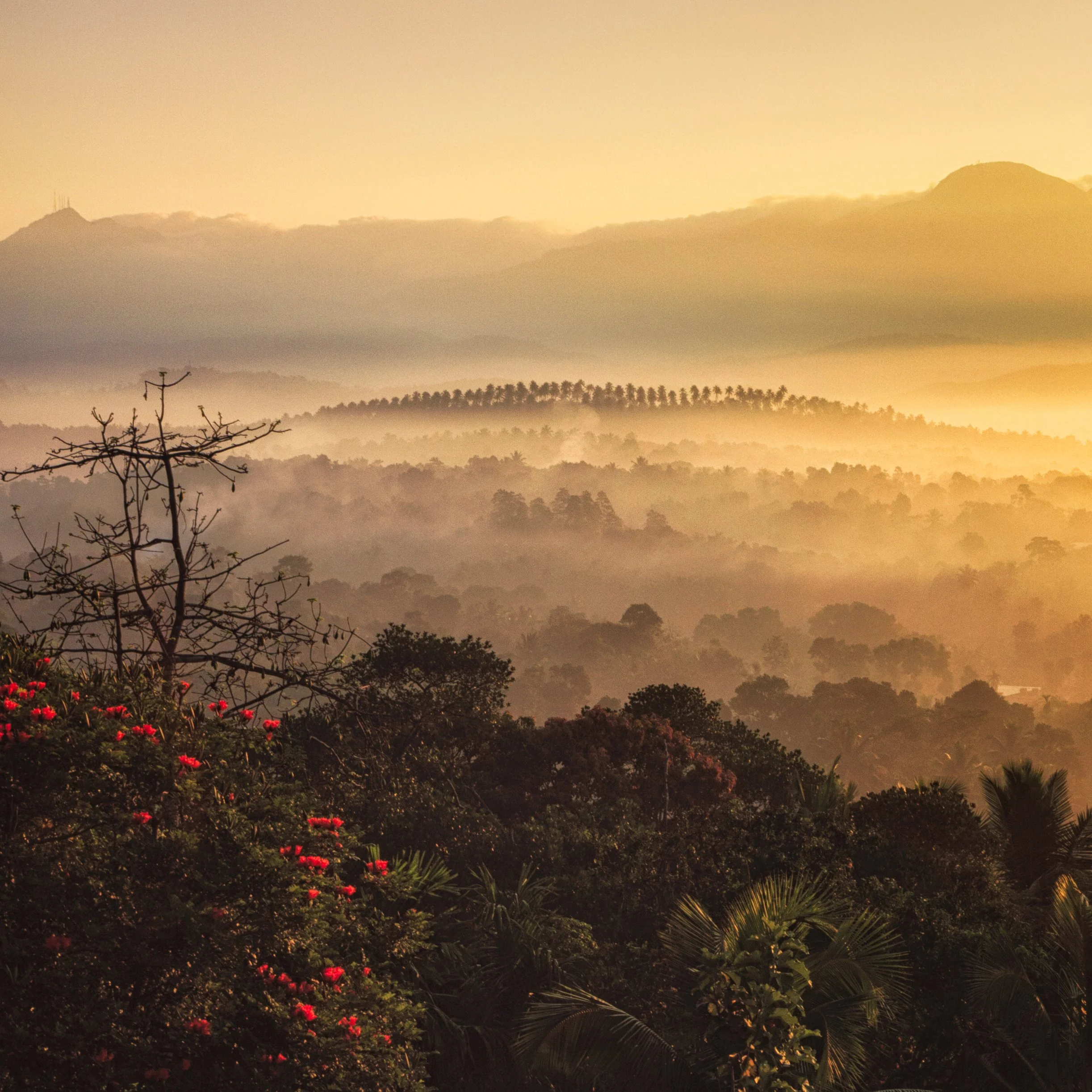 GOLDEN MOMENT - MATALE