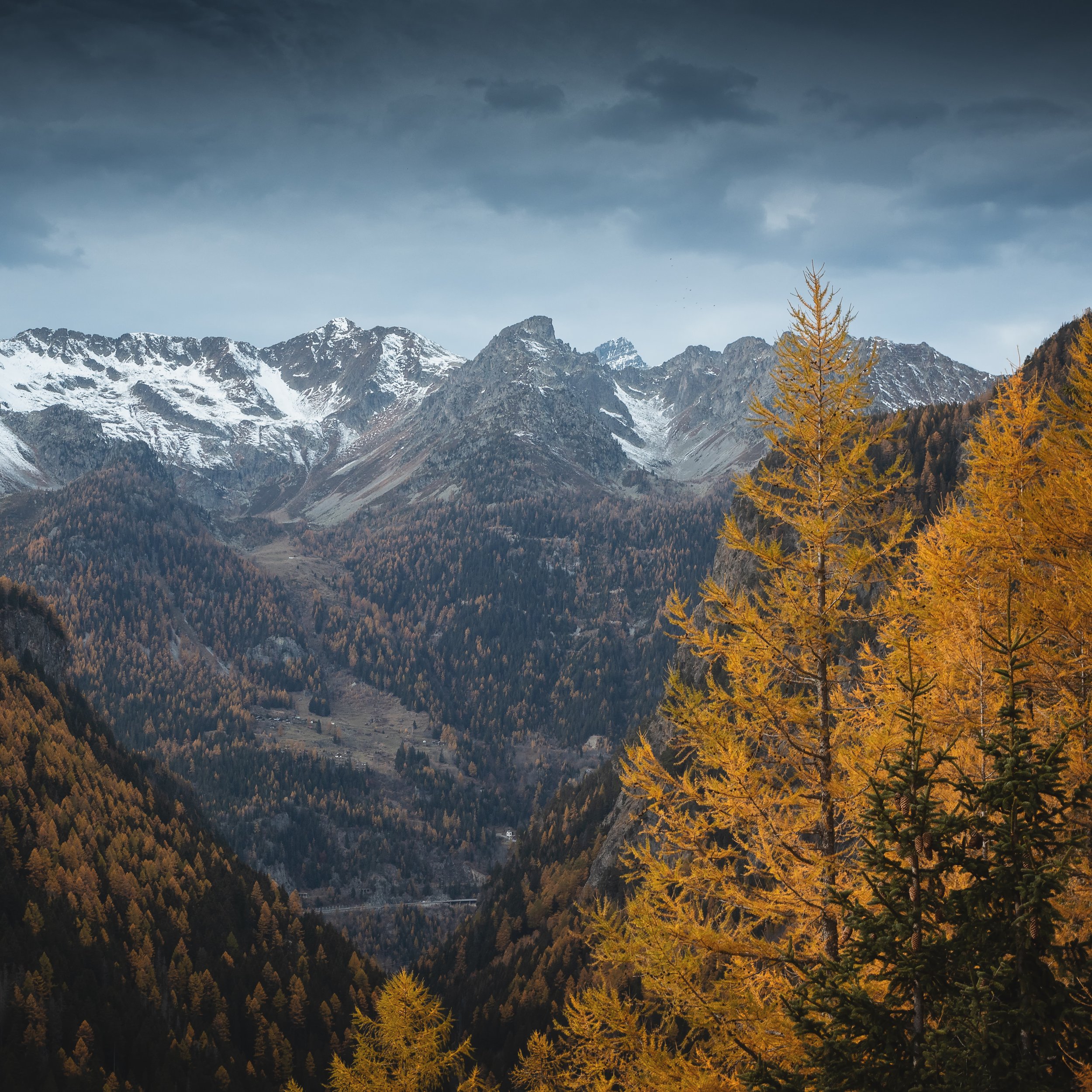 ALPINE FALL - FRANCE