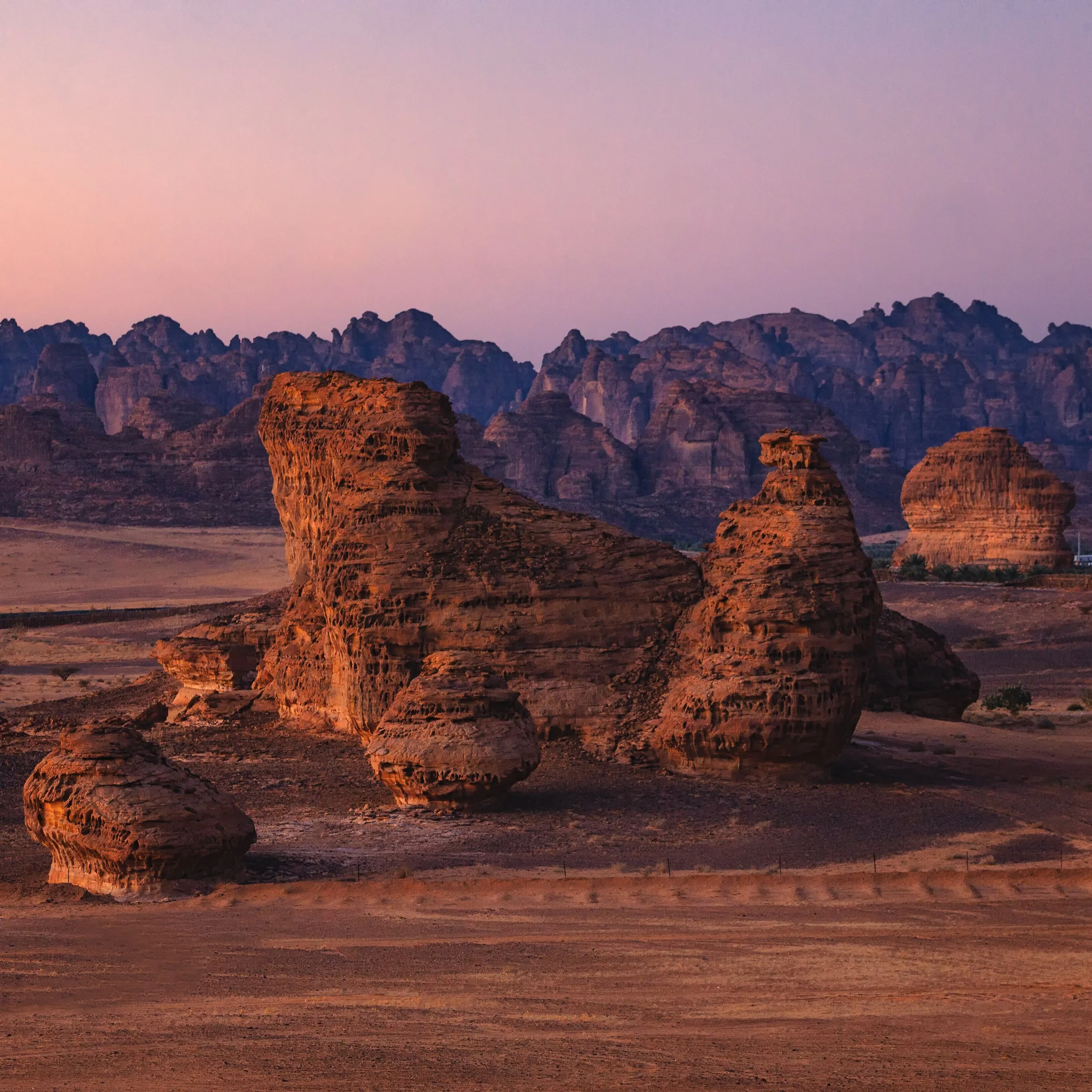 FORMATION - AL ULA