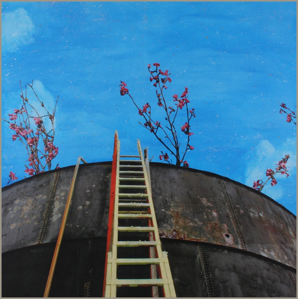 Containment Landscape #6- Waimea Cherry Blossom