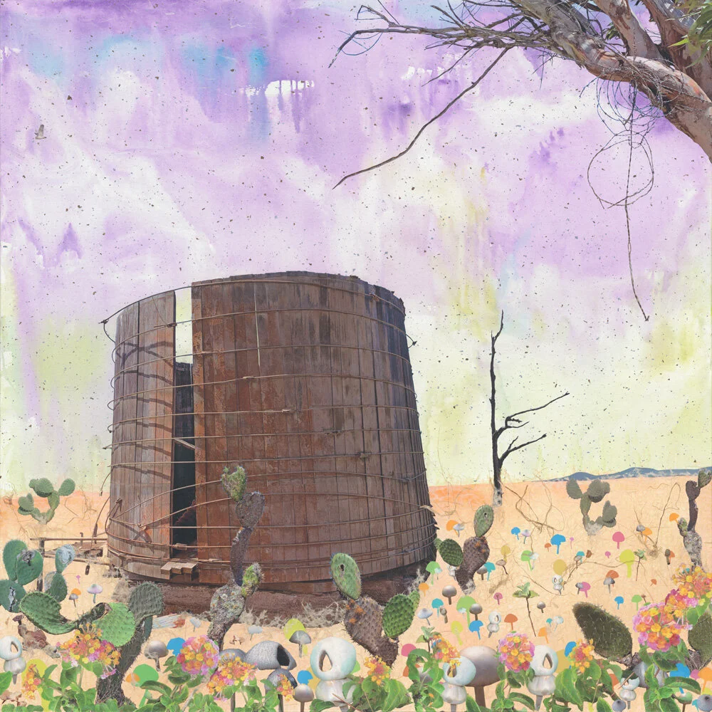 Containment Landscape #25 - Upper Road with Cactus and Lantana