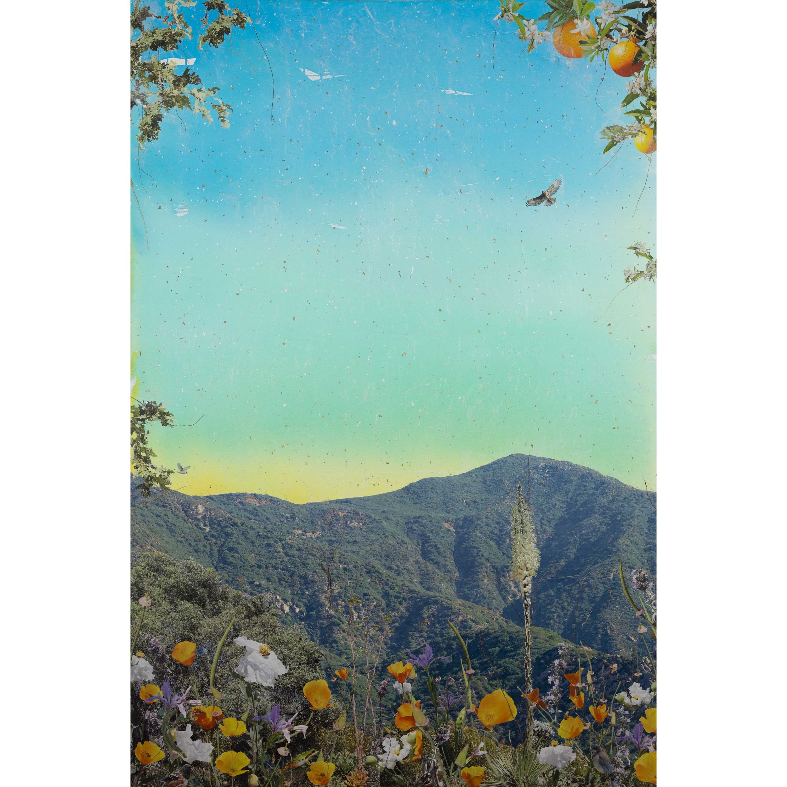 MountainVista_IG.jpg